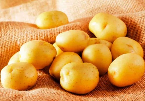 فروش سیب زمینی اردبیل + قیمت خرید به صرفه